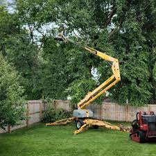 Best Storm Damage Tree Cleanup  in Newport, AR